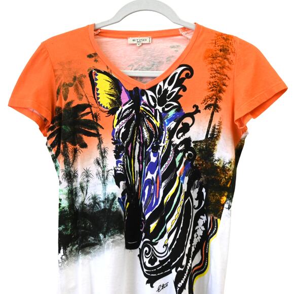 Etro Milano T-Shirt Size 40 Multicolor Zebra Print V-Neck Cotton Graphic Tee - Picture 3 of 12